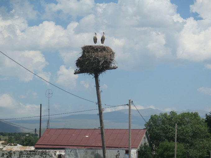 "                               "